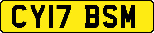 CY17BSM