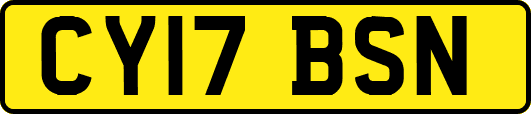 CY17BSN