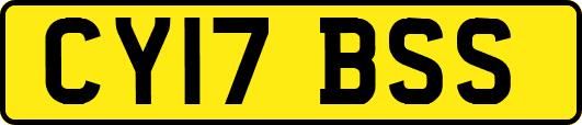 CY17BSS