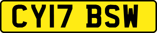 CY17BSW