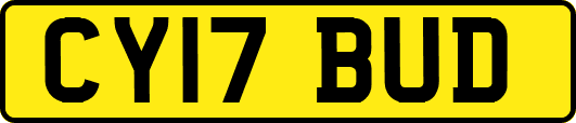 CY17BUD