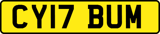 CY17BUM