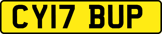 CY17BUP