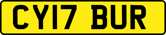 CY17BUR