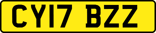 CY17BZZ