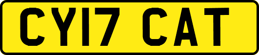 CY17CAT