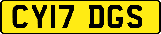 CY17DGS