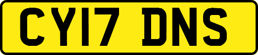 CY17DNS
