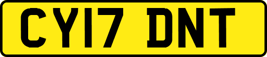 CY17DNT