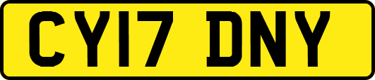CY17DNY