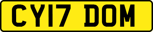 CY17DOM