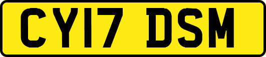 CY17DSM