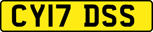 CY17DSS