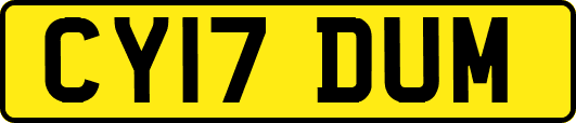 CY17DUM
