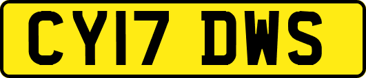 CY17DWS