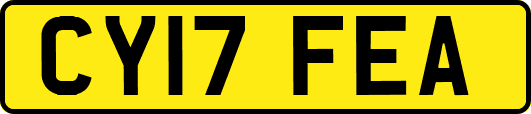 CY17FEA