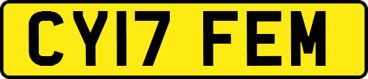 CY17FEM