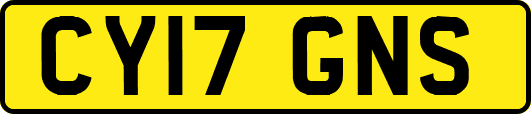 CY17GNS