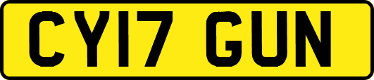 CY17GUN