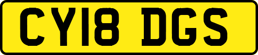 CY18DGS