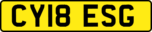 CY18ESG
