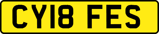 CY18FES