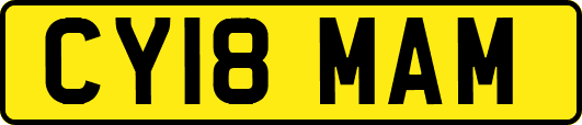 CY18MAM