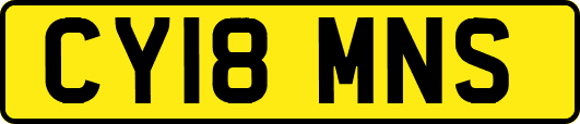 CY18MNS
