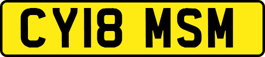CY18MSM