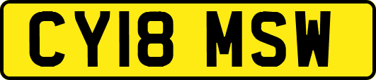 CY18MSW