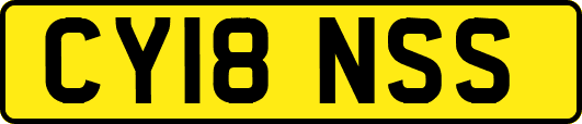 CY18NSS