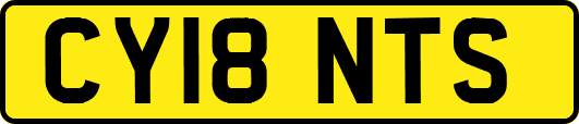 CY18NTS