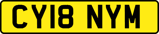CY18NYM
