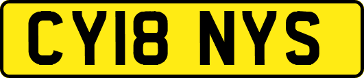 CY18NYS
