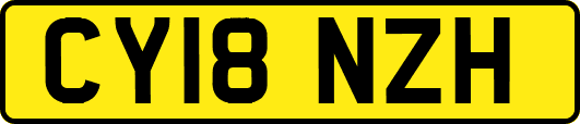 CY18NZH