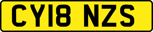 CY18NZS