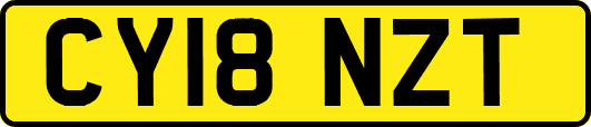 CY18NZT