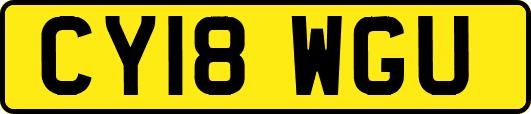 CY18WGU