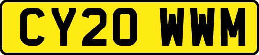 CY20WWM