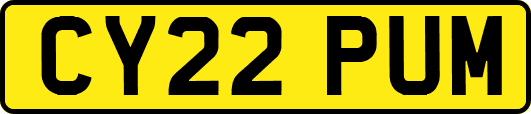 CY22PUM