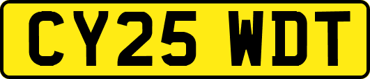 CY25WDT