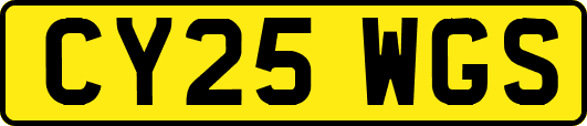 CY25WGS