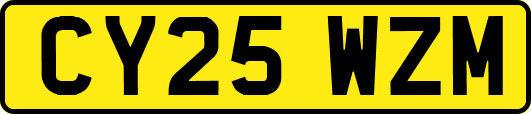 CY25WZM