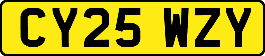 CY25WZY