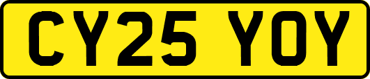 CY25YOY