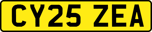 CY25ZEA