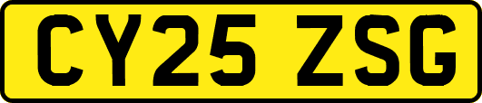 CY25ZSG