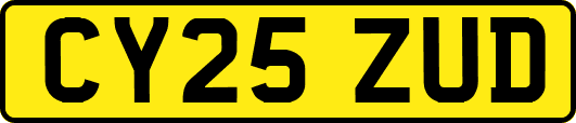 CY25ZUD