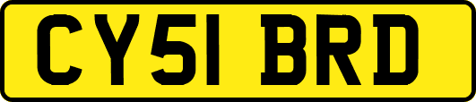 CY51BRD