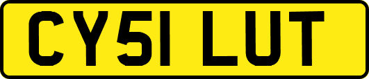 CY51LUT